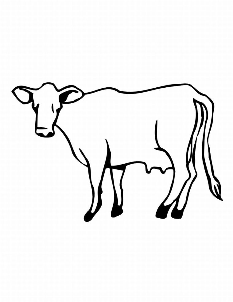 ぬりえページ: 牛 (動物) #13274 - 無料の印刷可能なぬりえページ