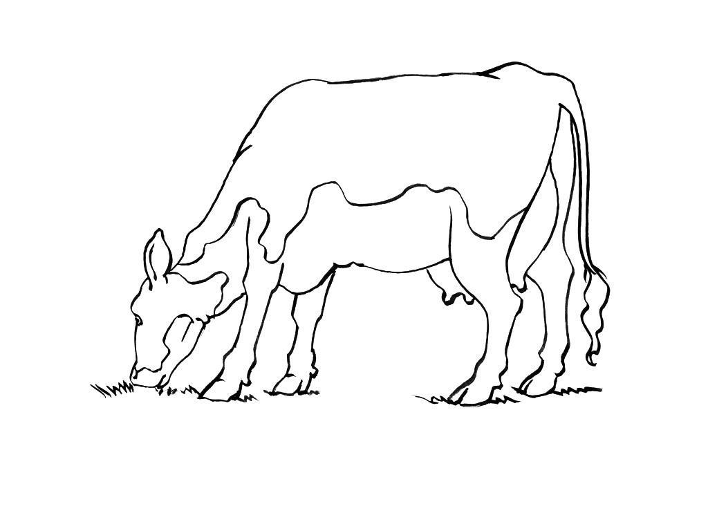 ぬりえページ: 牛 (動物) #13347 - 無料の印刷可能なぬりえページ