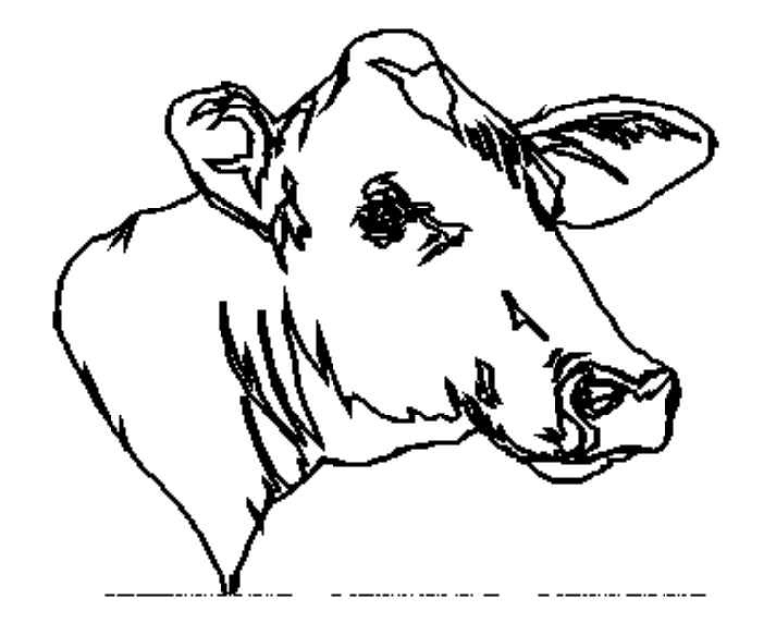 ぬりえページ: 牛 (動物) #13380 - 無料の印刷可能なぬりえページ