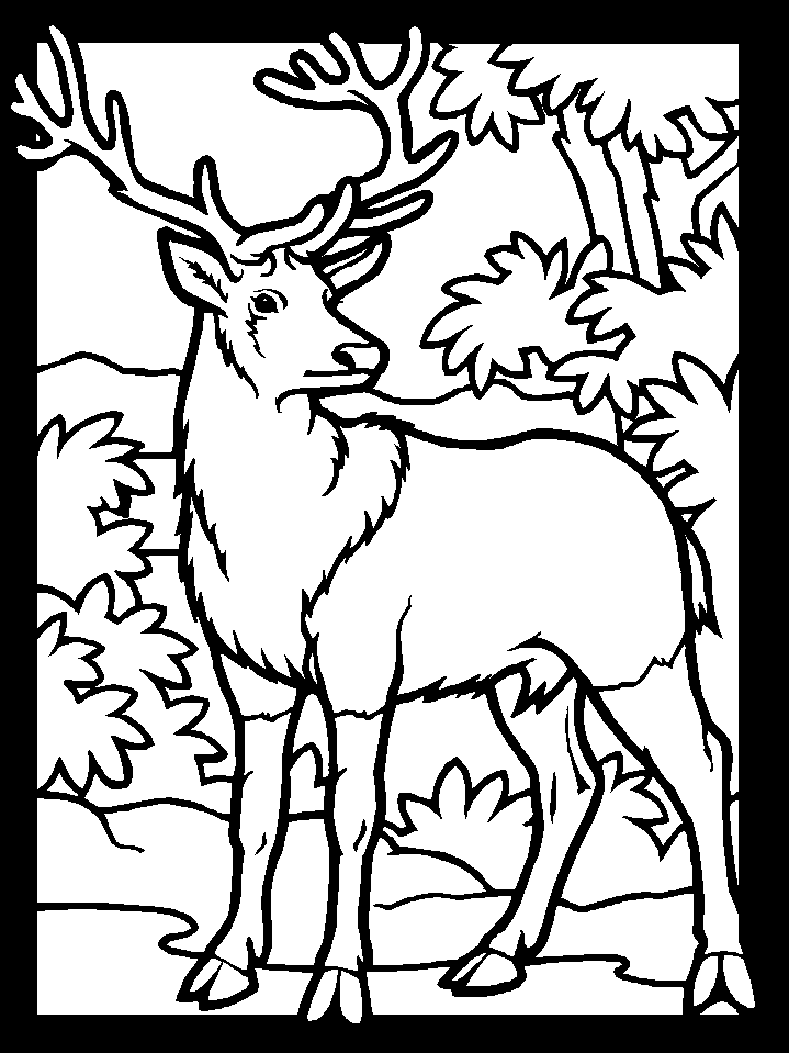 ぬりえページ: 鹿 (動物) #2571 - 無料の印刷可能なぬりえページ