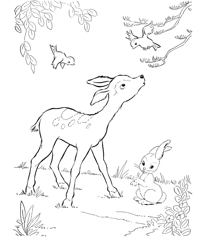 ぬりえページ: 鹿 (動物) #2574 - 無料の印刷可能なぬりえページ