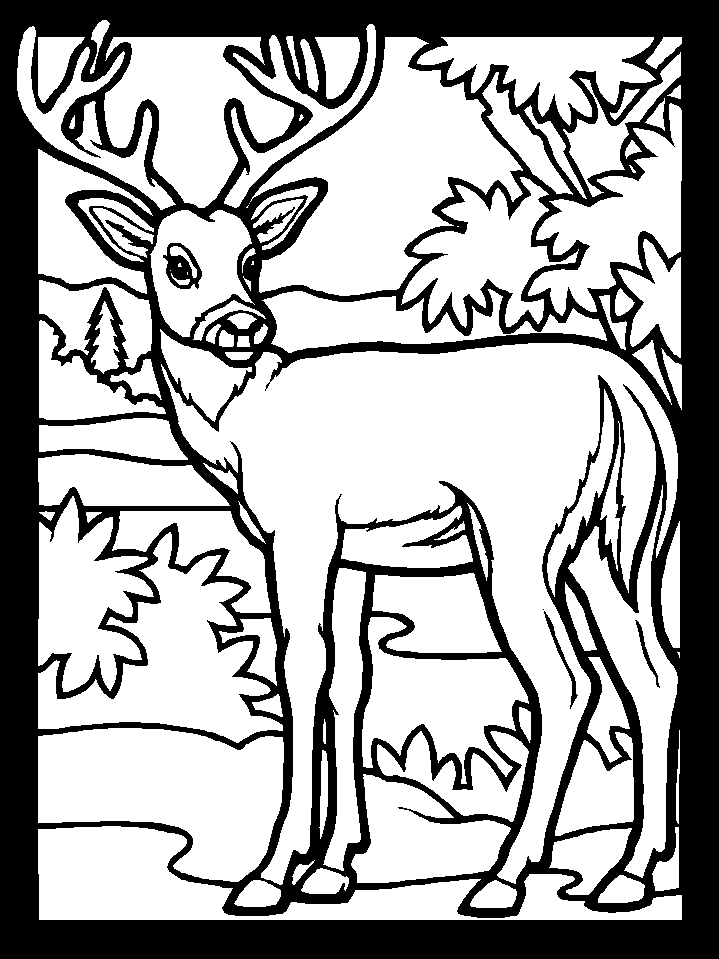 ぬりえページ: 鹿 (動物) #2577 - 無料の印刷可能なぬりえページ