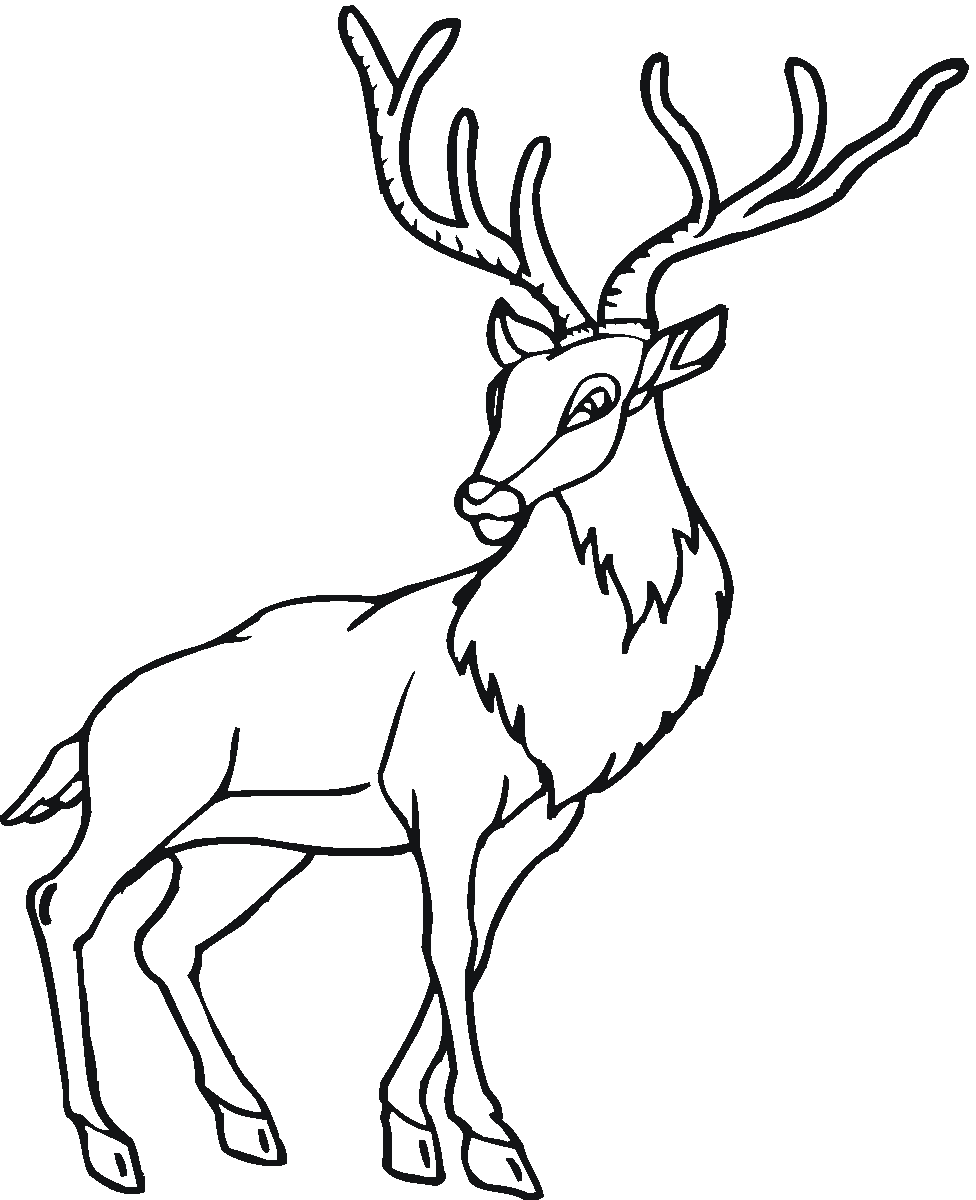 ぬりえページ: 鹿 (動物) #2587 - 無料の印刷可能なぬりえページ