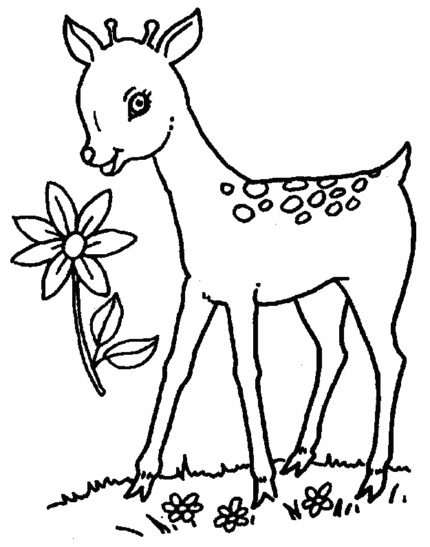 ぬりえページ: 鹿 (動物) #2592 - 無料の印刷可能なぬりえページ