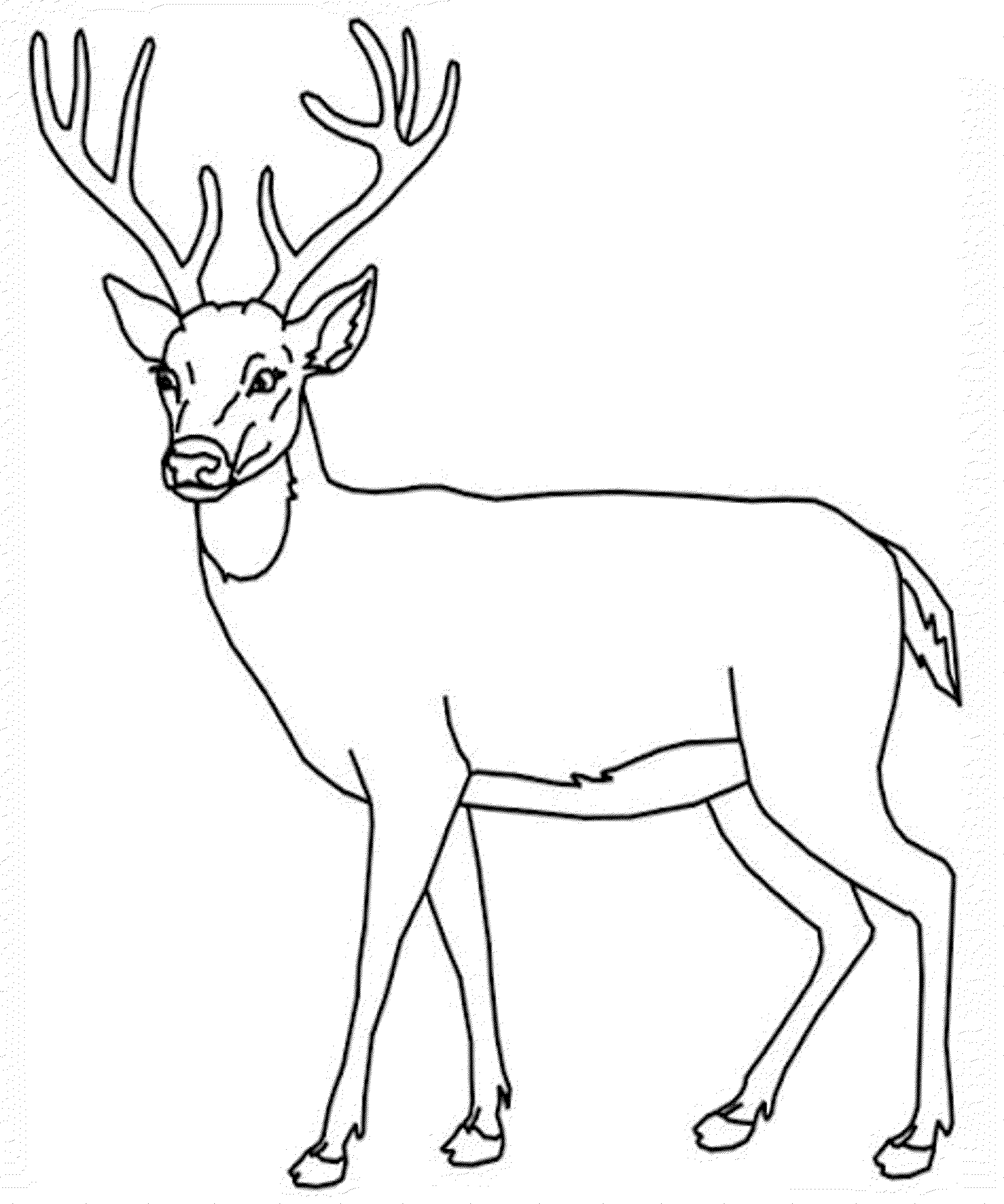 ぬりえページ: 鹿 (動物) #2594 - 無料の印刷可能なぬりえページ