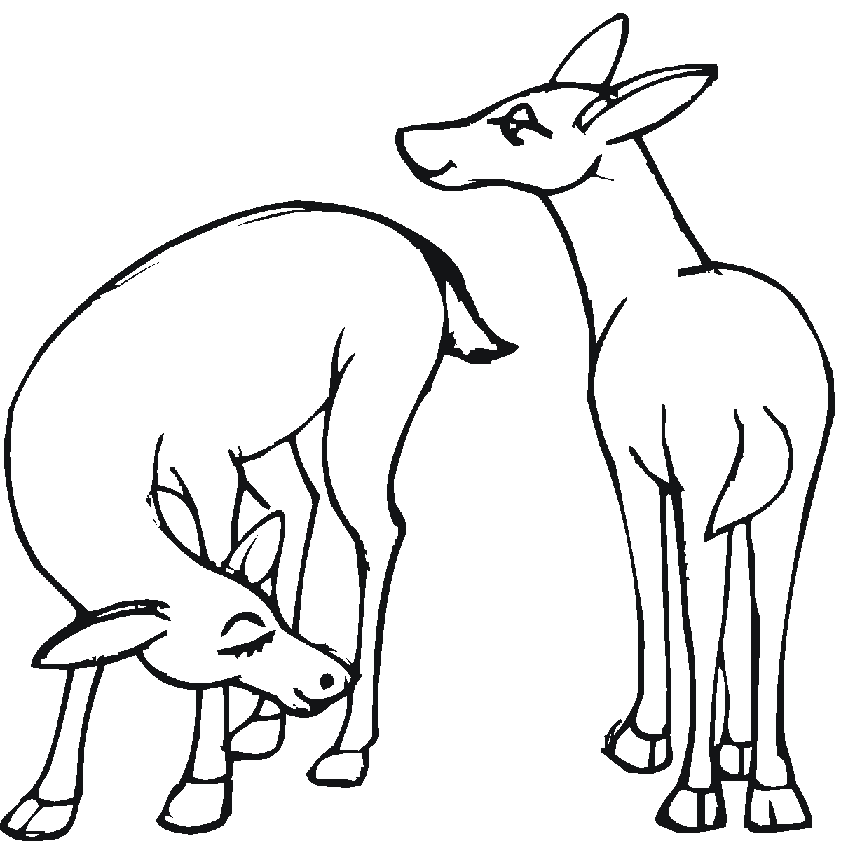 ぬりえページ: 鹿 (動物) #2596 - 無料の印刷可能なぬりえページ