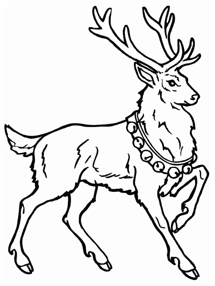 ぬりえページ: 鹿 (動物) #2597 - 無料の印刷可能なぬりえページ