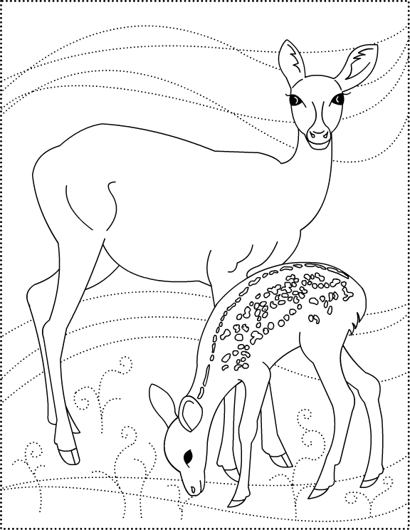 ぬりえページ: 鹿 (動物) #2601 - 無料の印刷可能なぬりえページ
