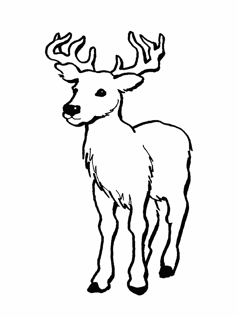 ぬりえページ: 鹿 (動物) #2613 - 無料の印刷可能なぬりえページ