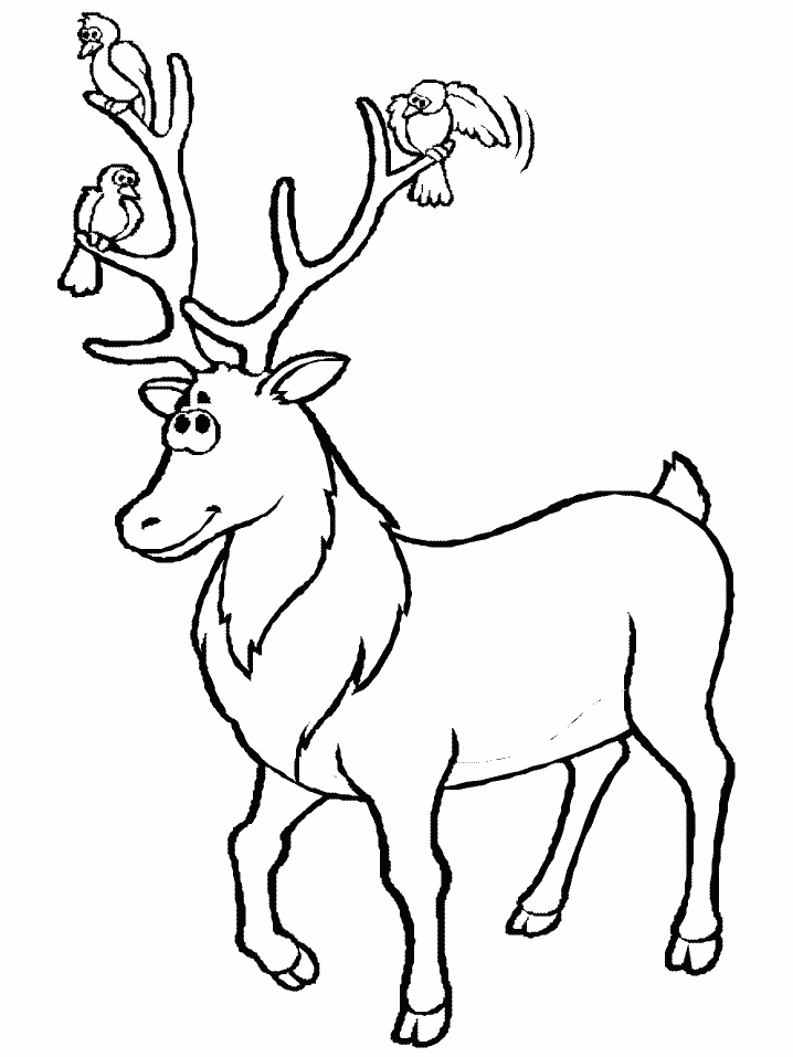 ぬりえページ: 鹿 (動物) #2622 - 無料の印刷可能なぬりえページ