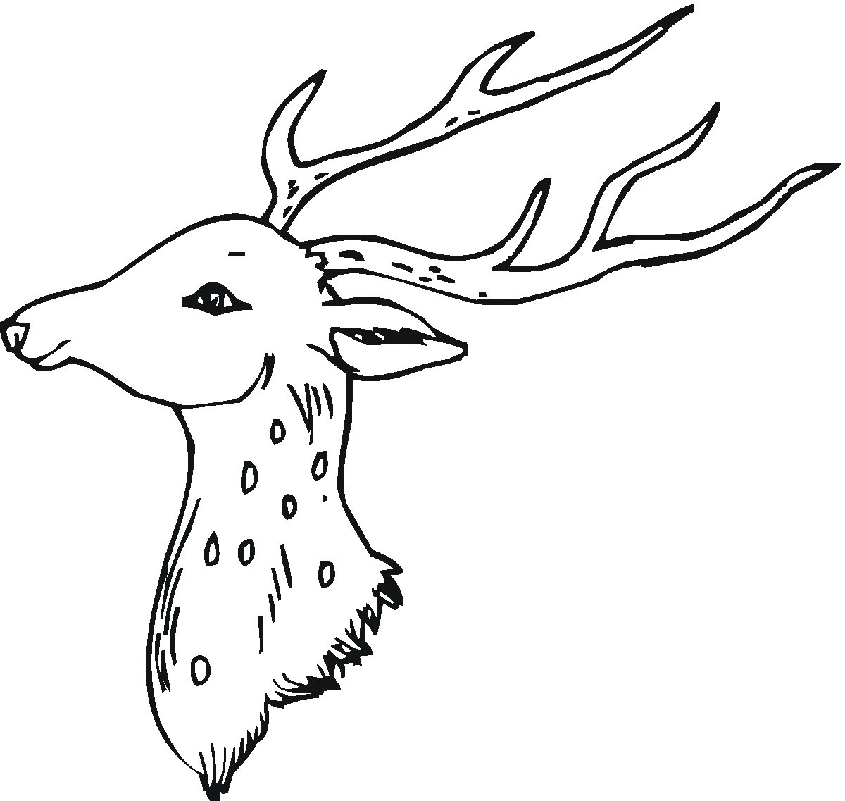 ぬりえページ: 鹿 (動物) #2633 - 無料の印刷可能なぬりえページ