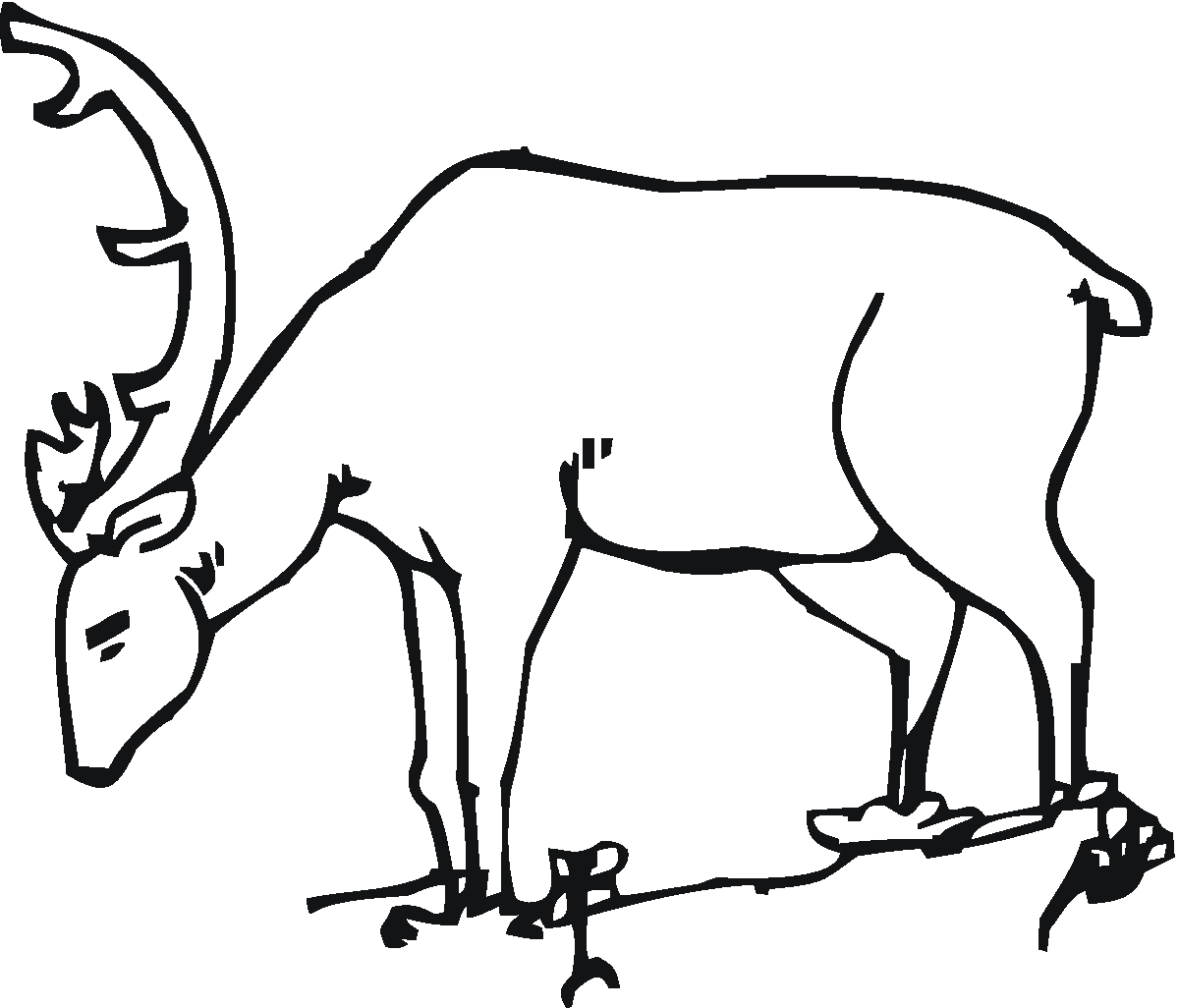 ぬりえページ: 鹿 (動物) #2636 - 無料の印刷可能なぬりえページ