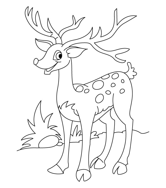 ぬりえページ: 鹿 (動物) #2642 - 無料の印刷可能なぬりえページ
