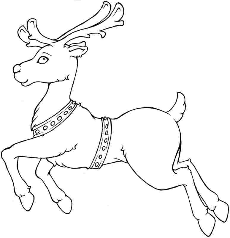 ぬりえページ: 鹿 (動物) #2643 - 無料の印刷可能なぬりえページ
