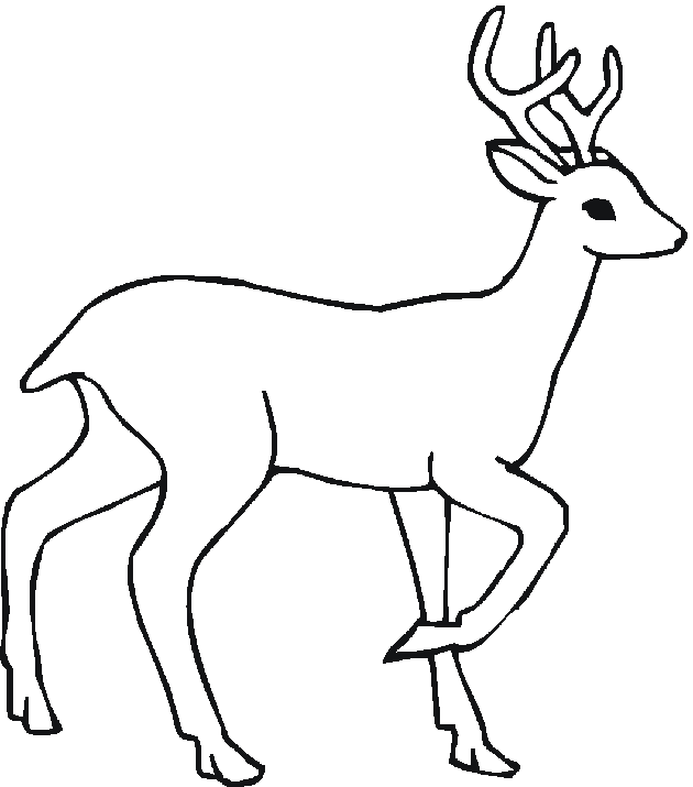 ぬりえページ: 鹿 (動物) #2645 - 無料の印刷可能なぬりえページ