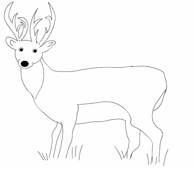 ぬりえページ: 鹿 (動物) #2646 - 無料の印刷可能なぬりえページ