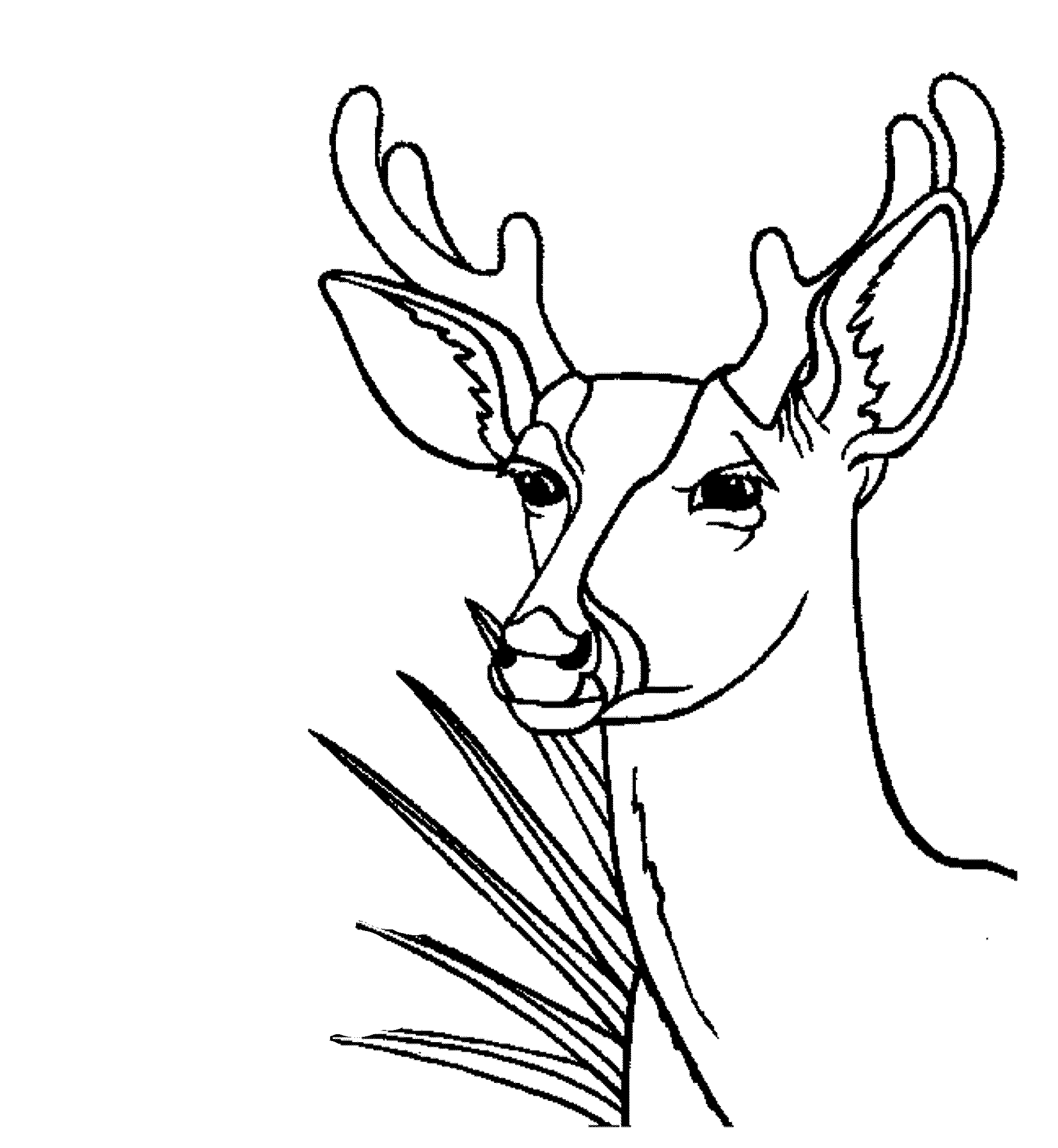 ぬりえページ: 鹿 (動物) #2660 - 無料の印刷可能なぬりえページ