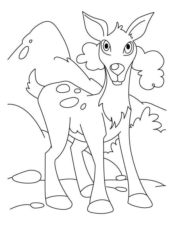 ぬりえページ: 鹿 (動物) #2674 - 無料の印刷可能なぬりえページ