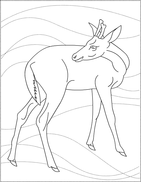 ぬりえページ: 鹿 (動物) #2685 - 無料の印刷可能なぬりえページ