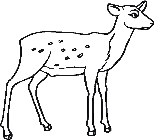 ぬりえページ: 鹿 (動物) #2689 - 無料の印刷可能なぬりえページ