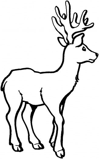 ぬりえページ: 鹿 (動物) #2707 - 無料の印刷可能なぬりえページ