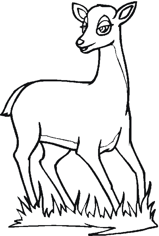 ぬりえページ: 鹿 (動物) #2713 - 無料の印刷可能なぬりえページ