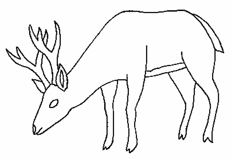ぬりえページ: 鹿 (動物) #2732 - 無料の印刷可能なぬりえページ