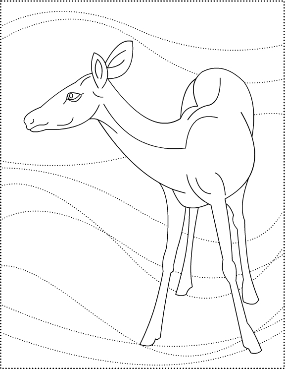 ぬりえページ: 鹿 (動物) #2734 - 無料の印刷可能なぬりえページ