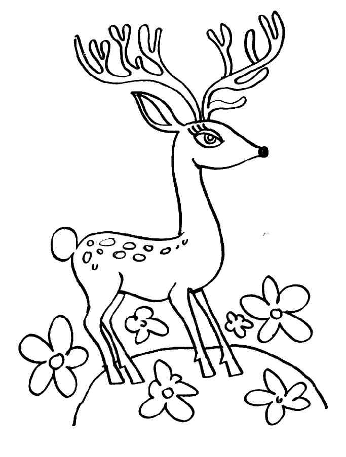 ぬりえページ: 鹿 (動物) #2745 - 無料の印刷可能なぬりえページ