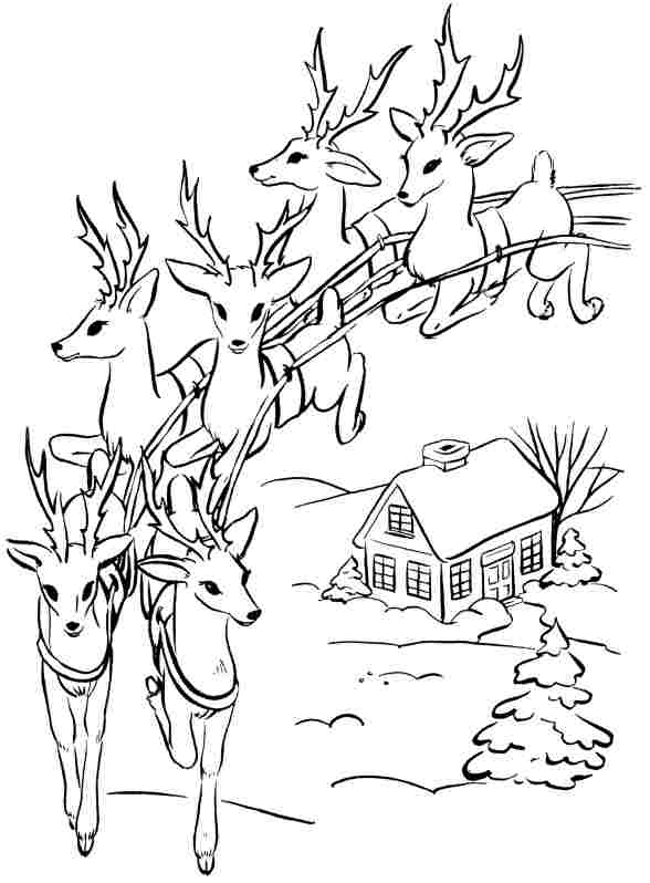 ぬりえページ: 鹿 (動物) #2748 - 無料の印刷可能なぬりえページ