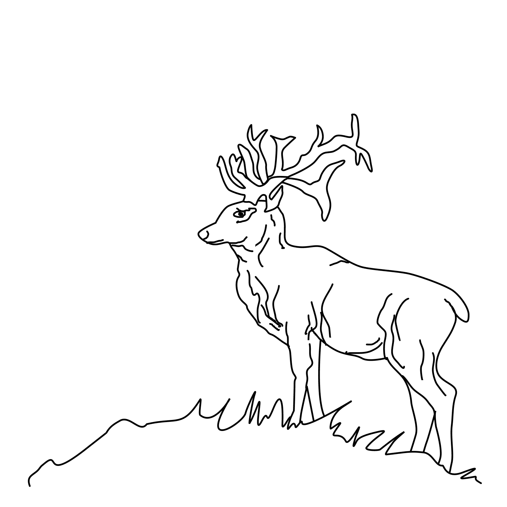 ぬりえページ: 鹿 (動物) #2754 - 無料の印刷可能なぬりえページ