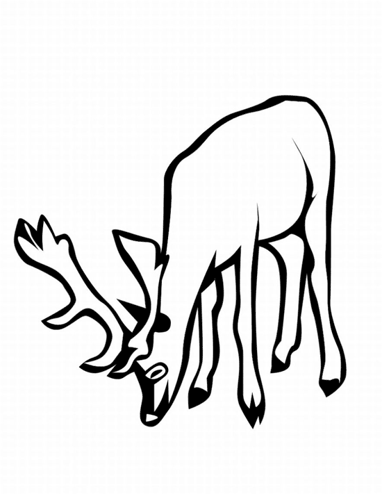 ぬりえページ: 鹿 (動物) #2759 - 無料の印刷可能なぬりえページ