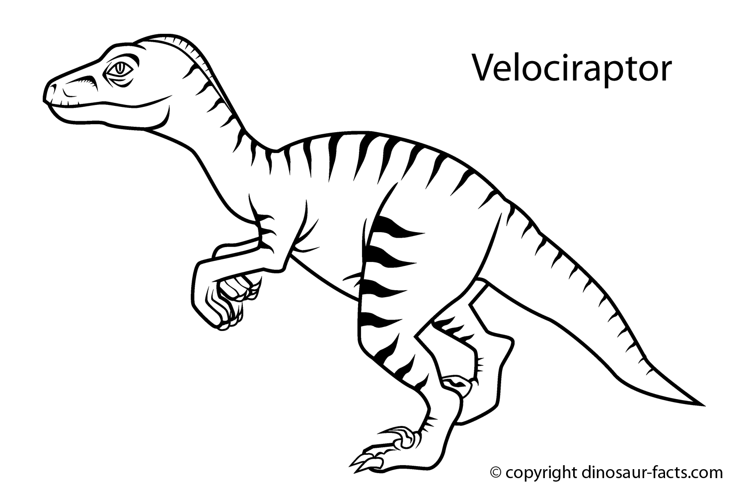 ぬりえページ: 恐竜 (動物) #5517 - 無料の印刷可能なぬりえページ