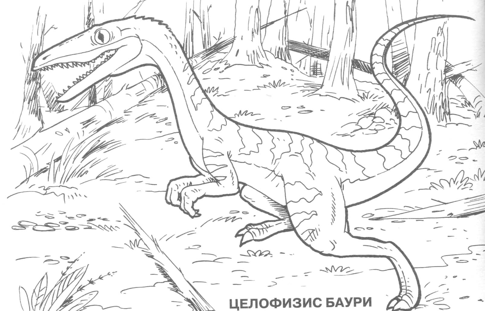 ぬりえページ: 恐竜 (動物) #5676 - 無料の印刷可能なぬりえページ
