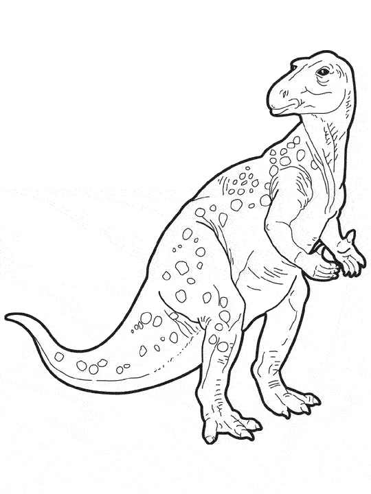 ぬりえページ: 恐竜 (動物) #5681 - 無料の印刷可能なぬりえページ
