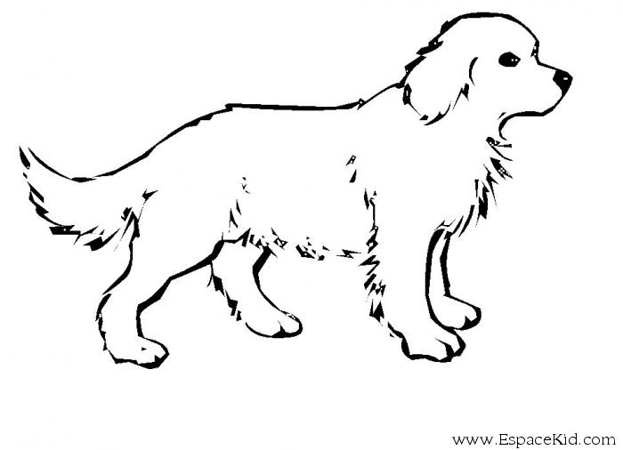 ぬりえページ: 犬 (動物) #14 - 無料の印刷可能なぬりえページ