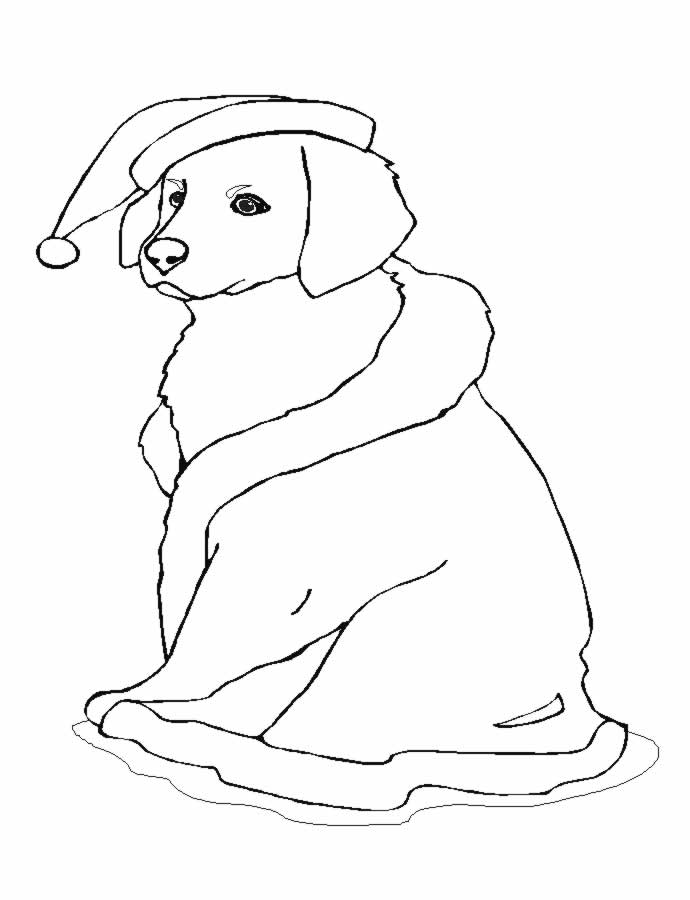 ぬりえページ: 犬 (動物) #19 - 無料の印刷可能なぬりえページ
