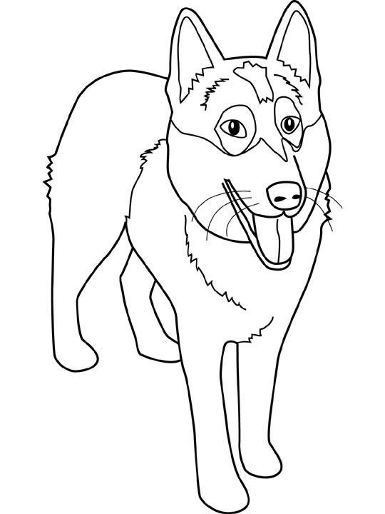 ぬりえページ: 犬 (動物) #30 - 無料の印刷可能なぬりえページ