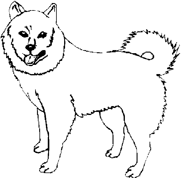 ぬりえページ: 犬 (動物) #3103 - 無料の印刷可能なぬりえページ