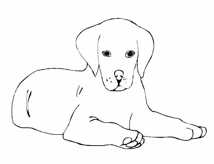 ぬりえページ: 犬 (動物) #3108 - 無料の印刷可能なぬりえページ