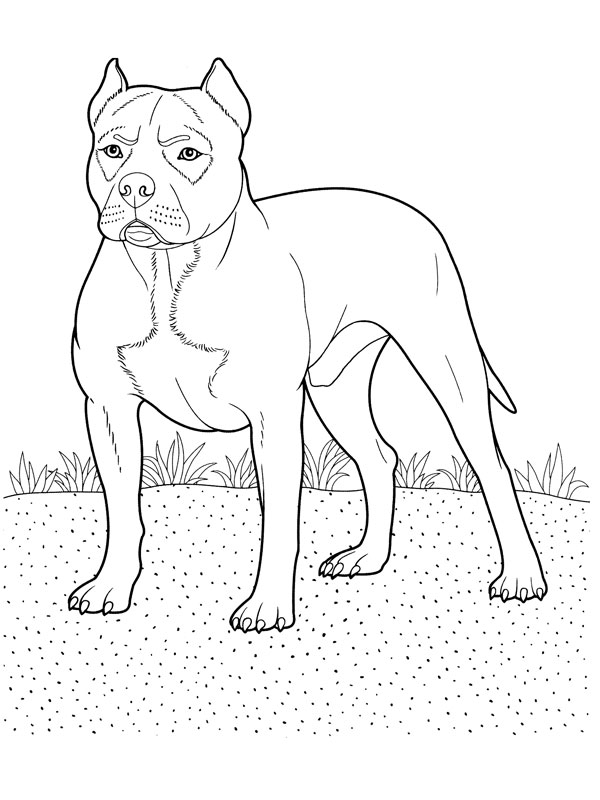 ぬりえページ: 犬 (動物) #3138 - 無料の印刷可能なぬりえページ