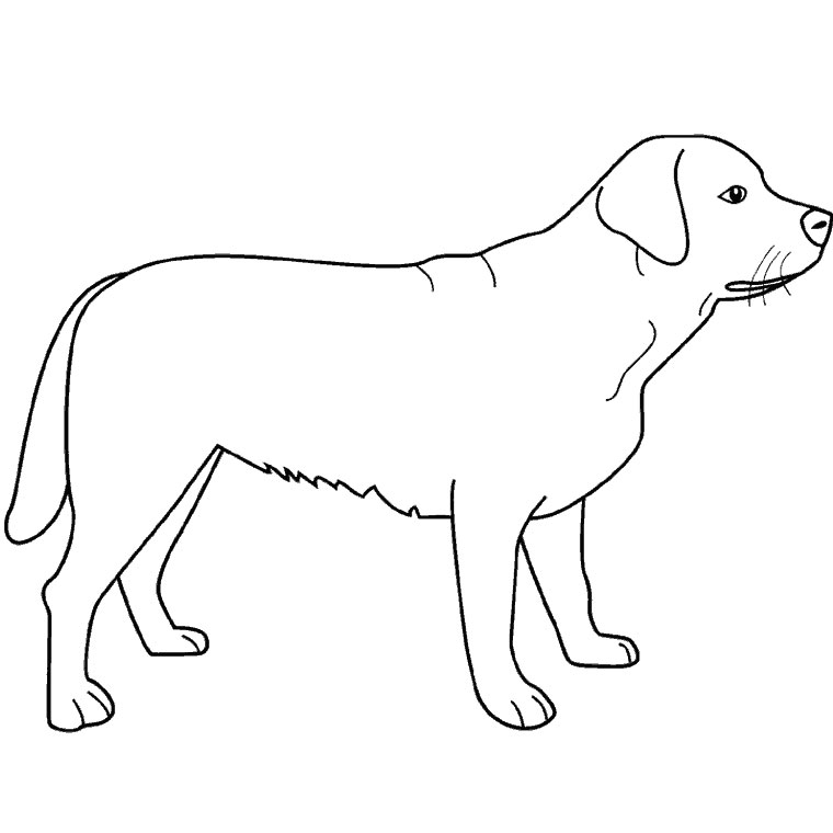 ぬりえページ: 犬 (動物) #3139 - 無料の印刷可能なぬりえページ
