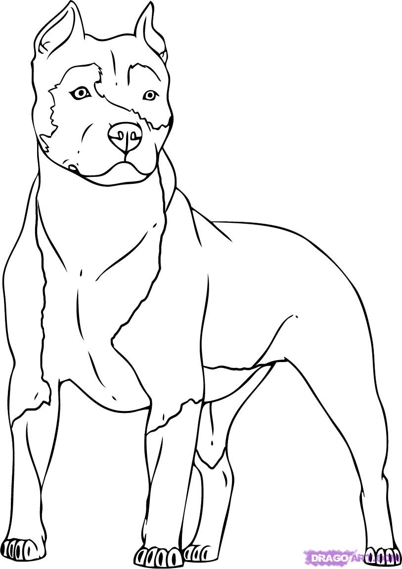 ぬりえページ: 犬 (動物) #3149 - 無料の印刷可能なぬりえページ