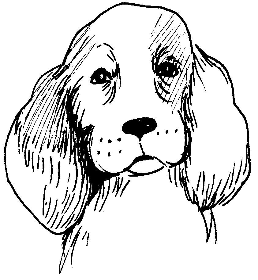 ぬりえページ: 犬 (動物) #3184 - 無料の印刷可能なぬりえページ