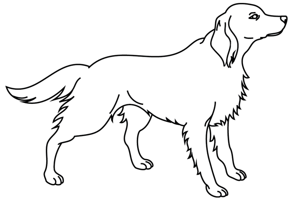 ぬりえページ: 犬 (動物) #3190 - 無料の印刷可能なぬりえページ