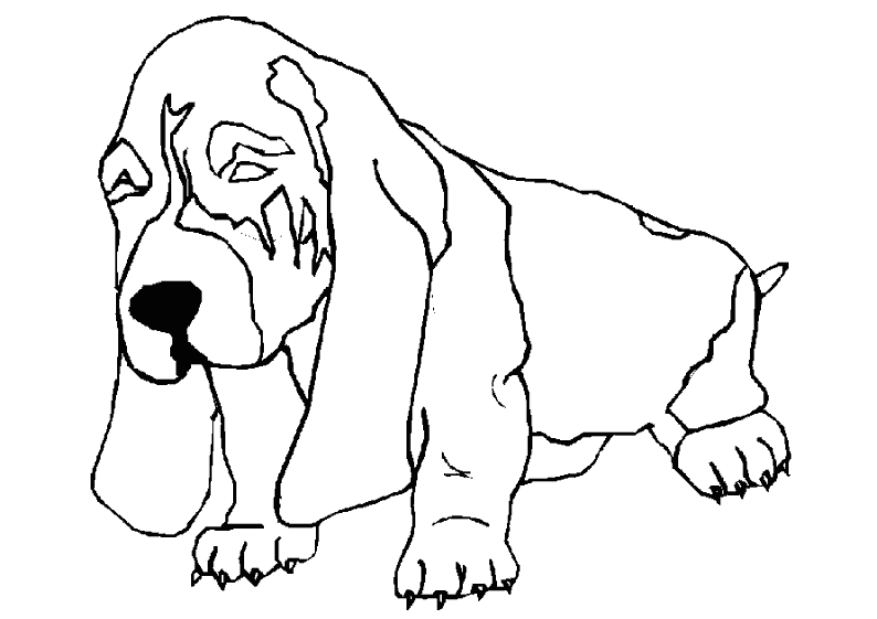 ぬりえページ: 犬 (動物) #3195 - 無料の印刷可能なぬりえページ