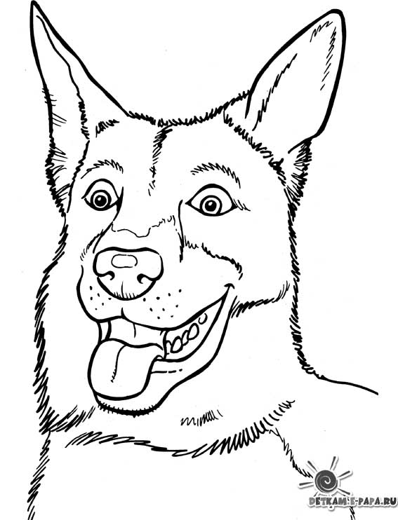 ぬりえページ: 犬 (動物) #3218 - 無料の印刷可能なぬりえページ