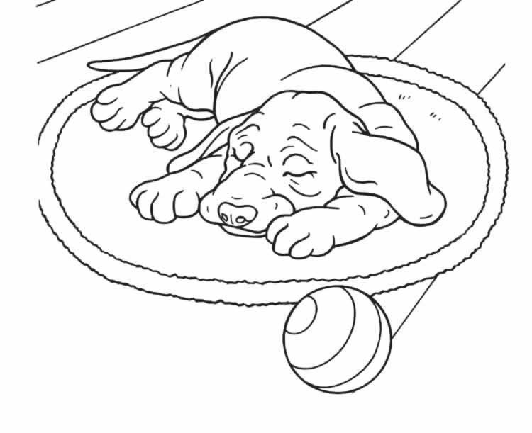 ぬりえページ: 犬 (動物) #51 - 無料の印刷可能なぬりえページ
