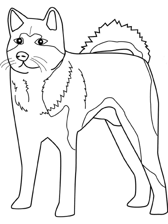ぬりえページ: 犬 (動物) #62 - 無料の印刷可能なぬりえページ
