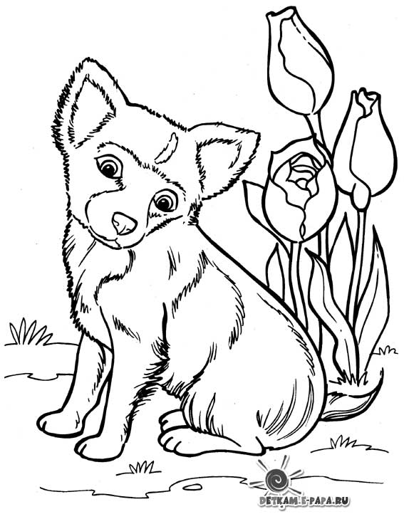 ぬりえページ: 犬 (動物) #69 - 無料の印刷可能なぬりえページ